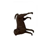 BW Chocolate Labrador Retriever Dog Gifts Memory Card Reader (Rectangular)