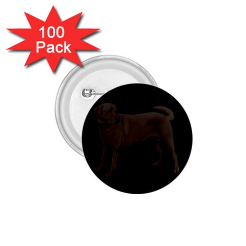 BB Chocolate Labrador Retriever Dog Gifts 1.75  Button (100 pack)  from ArtsNow.com Front