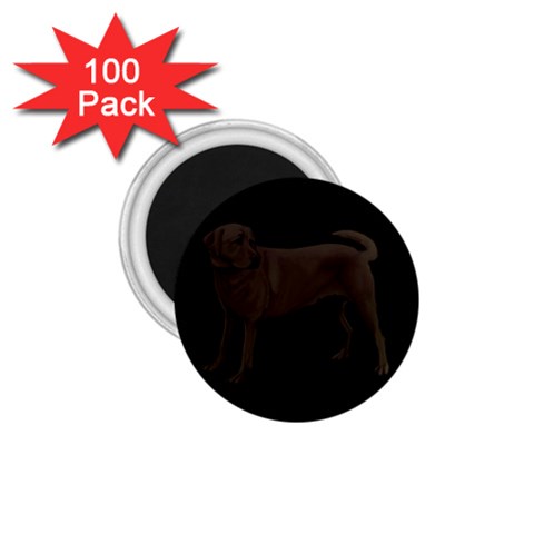 BB Chocolate Labrador Retriever Dog Gifts 1.75  Magnet (100 pack)  from ArtsNow.com Front