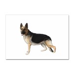 German Shepherd Alsatian Dog Gifts BW Sticker A4 (100 pack)