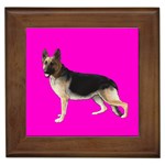 German Shepherd Alsatian Dog Gifts BP Framed Tile