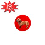Dachshund Dog Gifts Red BR 1  Mini Magnet (100 pack) 