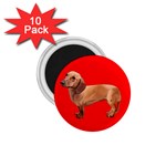 Dachshund Dog Gifts Red BR 1.75  Magnet (10 pack) 