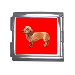 Dachshund Dog Gifts Red BR Mega Link Italian Charm (18mm)