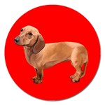 Dachshund Dog Gifts Red BR Magnet 5  (Round)