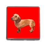 Dachshund Dog Gifts Red BR Memory Card Reader with Storage (Square)
