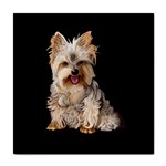 Yorkshire Terrier Yorkie Dog Gifts BB Tile Coaster