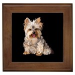 Yorkshire Terrier Yorkie Dog Gifts BB Framed Tile