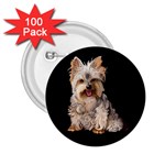 Yorkshire Terrier Yorkie Dog Gifts BB 2.25  Button (100 pack)