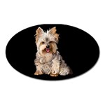 Yorkshire Terrier Yorkie Dog Gifts BB Magnet (Oval)