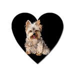 Yorkshire Terrier Yorkie Dog Gifts BB Magnet (Heart)