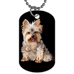 Yorkshire Terrier Yorkie Dog Gifts BB Dog Tag (One Side)
