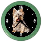 Yorkshire Terrier Yorkie Dog Gifts BB Color Wall Clock