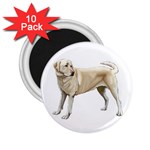 Yellow Labrador Retriever 2.25  Magnet (10 pack)