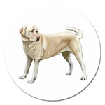 Yellow Labrador Retriever Magnet 5  (Round)