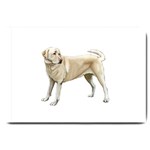 Yellow Labrador Retriever Large Doormat