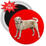 Yellow Labrador Retriever 3  Magnet (10 pack)