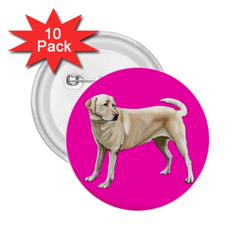 Yellow Labrador Retriever 2.25  Button (10 pack) from ArtsNow.com Front