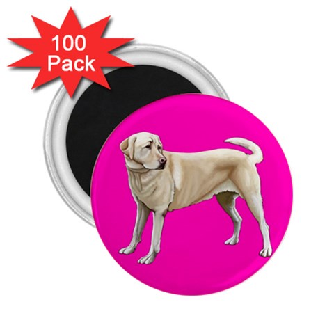 Yellow Labrador Retriever 2.25  Magnet (100 pack)  from ArtsNow.com Front