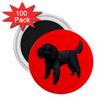 Black Poodle Dog Gifts BR 2.25  Magnet (100 pack) 