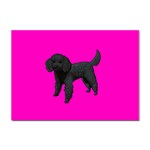 Black Poodle Dog Gifts BP Sticker A4 (10 pack)