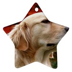 dog-photo cute Ornament (Star)