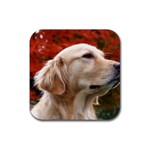 dog-photo cute Rubber Square Coaster (4 pack)