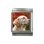 dog-photo cute Italian Charm (13mm)