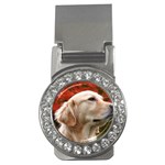 dog-photo cute Money Clip (CZ)