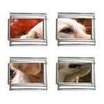 dog-photo cute 9mm Italian Charm (4 pack)