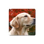 dog-photo cute Magnet (Square)