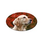 dog-photo cute Sticker Oval (10 pack)