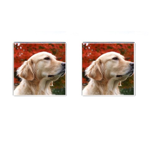 dog Front(Pair)