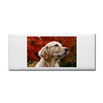 dog-photo cute Hand Towel