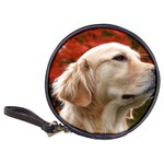 dog-photo cute Classic 20-CD Wallet