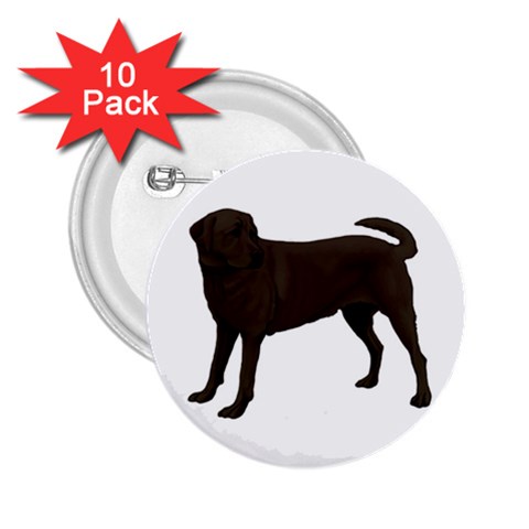 Chocolate Labrador Retriever 2.25  Button (10 pack) from ArtsNow.com Front