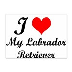 I Love My Labrador Retriever Sticker A4 (100 pack)