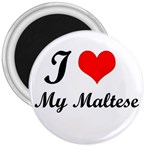 I Love My Maltese 3  Magnet