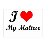 I Love My Maltese Sticker A4 (10 pack)