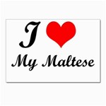 I Love My Maltese Postcard 4 x 6  (Pkg of 10)