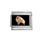 Pomeranian Dog Gifts BB Italian Charm (9mm)