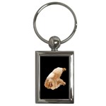 Pomeranian Dog Gifts BB Key Chain (Rectangle)