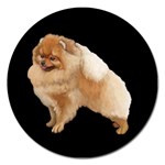 Pomeranian Dog Gifts BB Magnet 5  (Round)