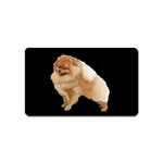 Pomeranian Dog Gifts BB Magnet (Name Card)