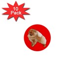 Pomeranian Dog Gifts BR 1  Mini Button (10 pack) 