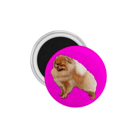 Pomeranian Dog Gifts BP 1.75  Magnet from ArtsNow.com Front