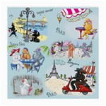 Poodles in Paris Glasses Cloth (Medium)