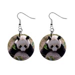 Big Panda 1  Button Earrings