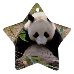Big Panda Star Ornament (Two Sides) from ArtsNow.com Front