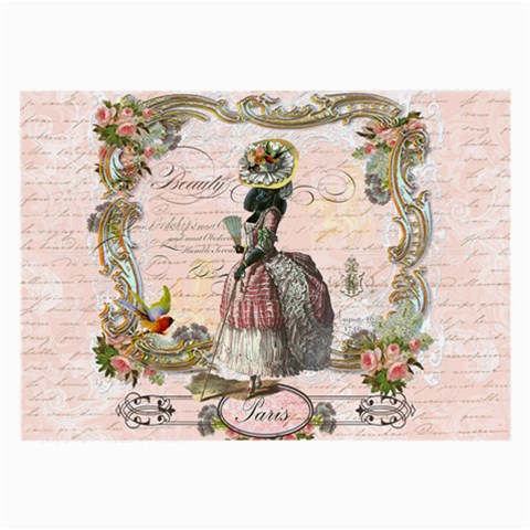 Black Poodle Marie Antoinette Glasses Cloth (Large, Two Sides) from ArtsNow.com Front